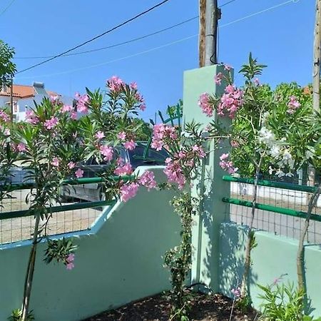 Lovely Guesthouse On The Beach Agia Anna  Exteriér fotografie