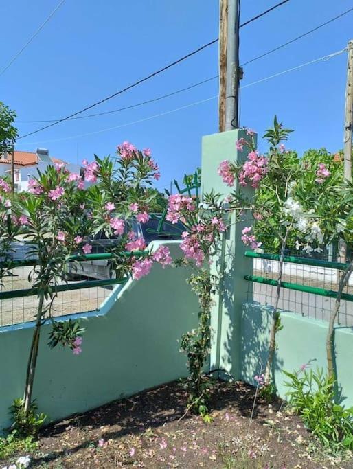 Lovely Guesthouse On The Beach Agia Anna  Exteriér fotografie