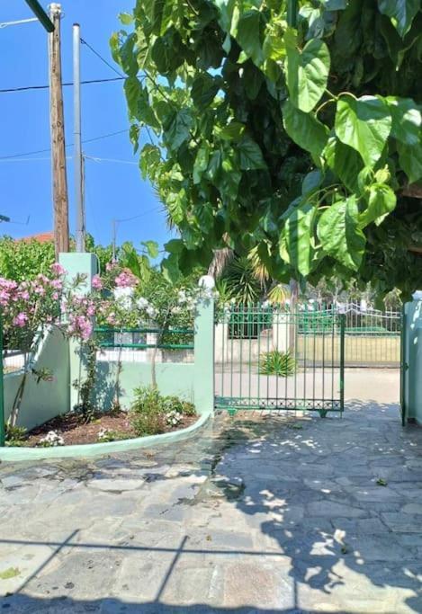 Lovely Guesthouse On The Beach Agia Anna  Exteriér fotografie