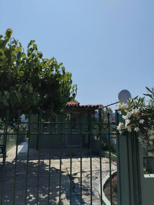Lovely Guesthouse On The Beach Agia Anna  Exteriér fotografie
